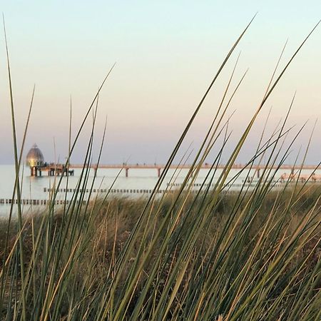 Ferienhaus Strandoase Zingst Εξωτερικό φωτογραφία